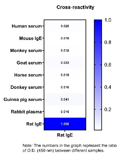 Rat IgE Serum & Plasma OneStep ELISA Kit