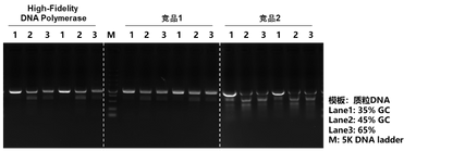 High-Fidelity DNA Polymerase Kit