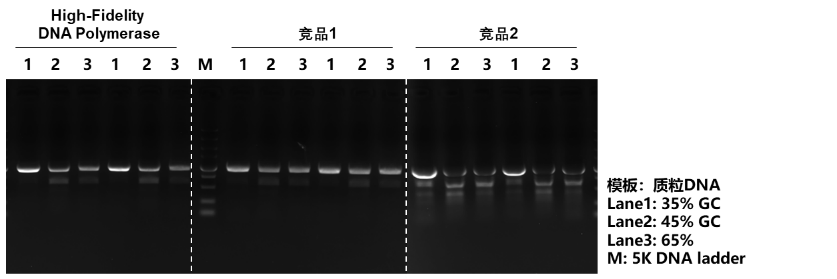 High-Fidelity DNA Polymerase Kit