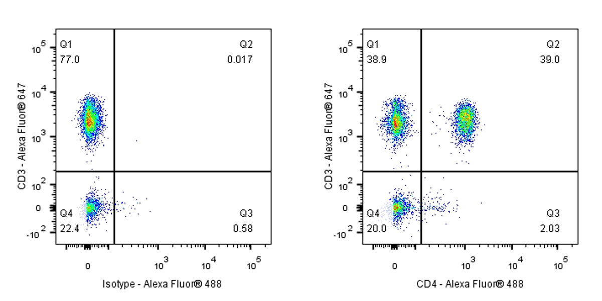 CD4 Recombinant Rabbit mAb,PBS Only (SDT-R163)