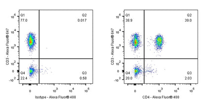 CD4 Recombinant Rabbit mAb,PBS Only (SDT-R163)