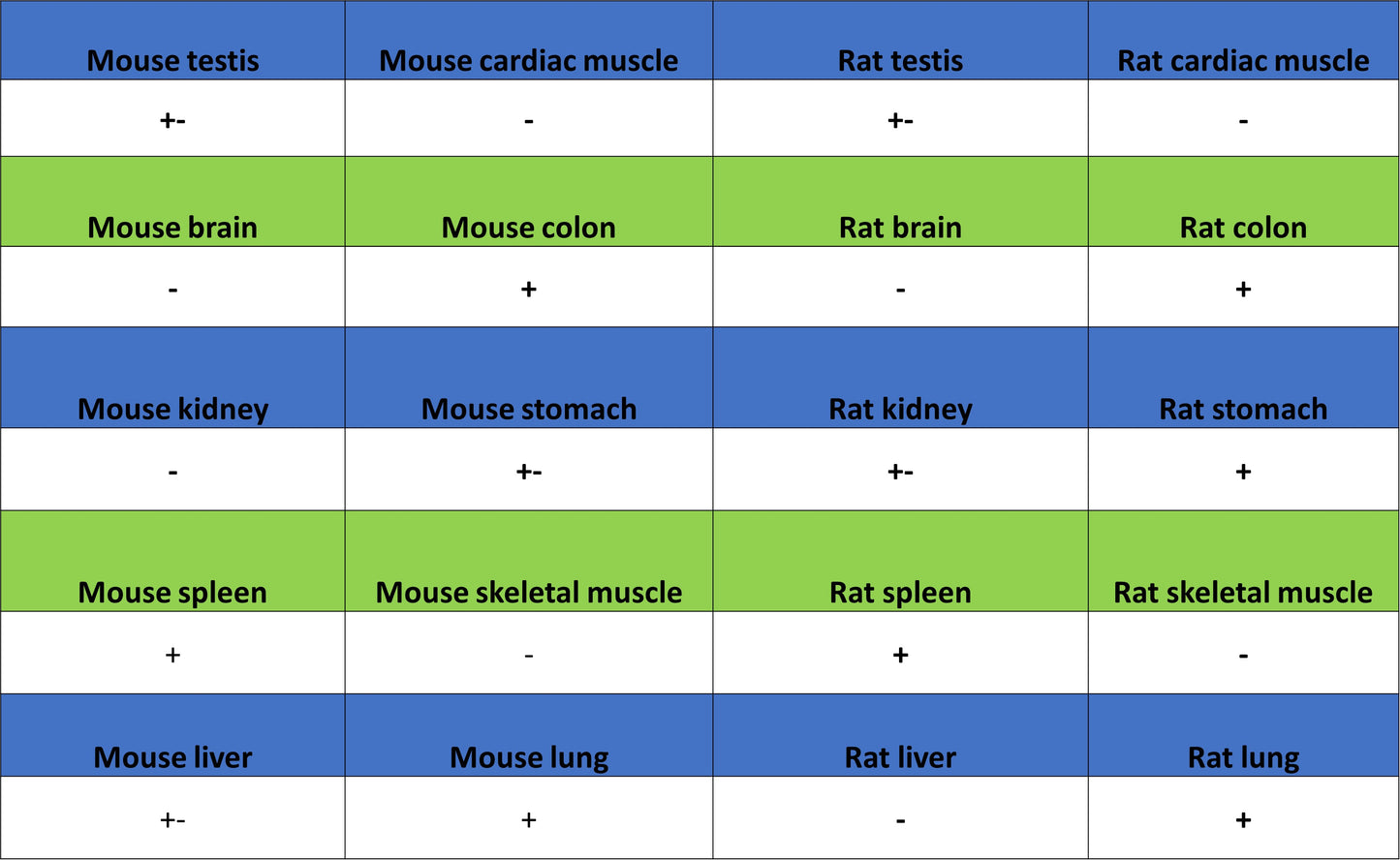 CDK6 Recombinant Rabbit mAb (S-4090-71)