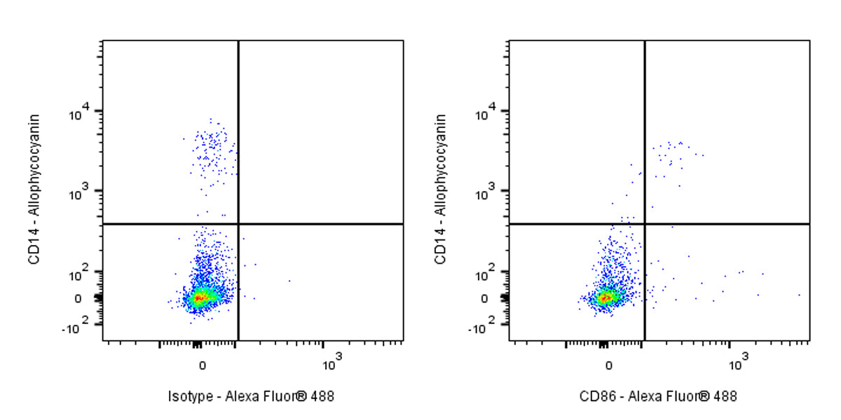 Mouse Anti-Human CD86 Antibody (IT2.2)