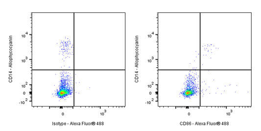 Mouse Anti-Human CD86 Antibody (IT2.2)