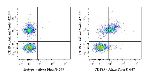 Alexa Fluor® 647 Rat Anti-Mouse CD185 Antibody (S-R600)