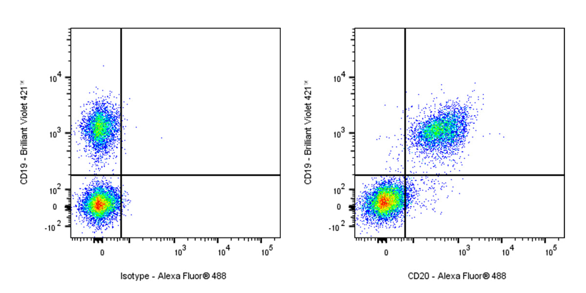 Alexa Fluor® 488 Rat Anti-Mouse CD20 Antibody (S-R497)