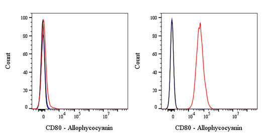 APC Mouse Anti-Human CD80 Antibody (S-3119)