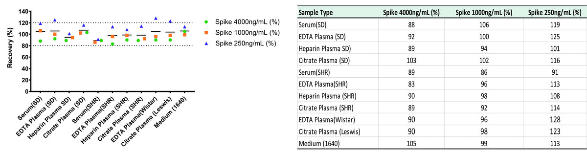 Rat IL-6 OneStep ELISA Kit