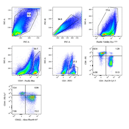 Mouse T Cell Subset Panel Kit