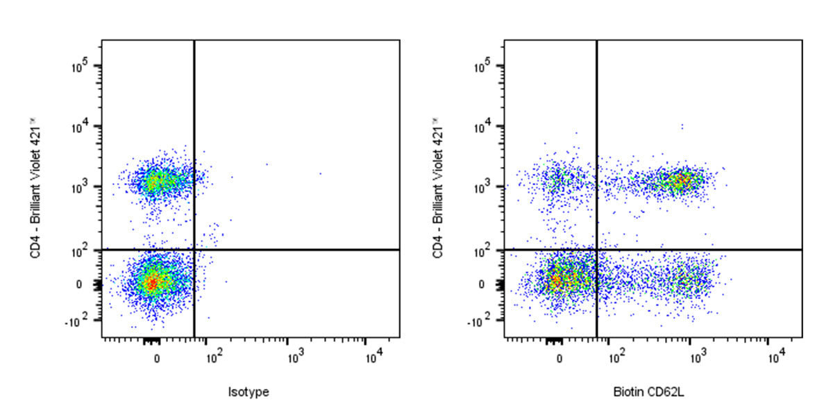 Biotin Rat Anti-Mouse CD62L Antibody (MEL-14)