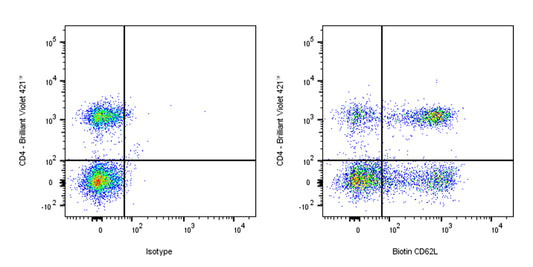 Biotin Rat Anti-Mouse CD62L Antibody (MEL-14)