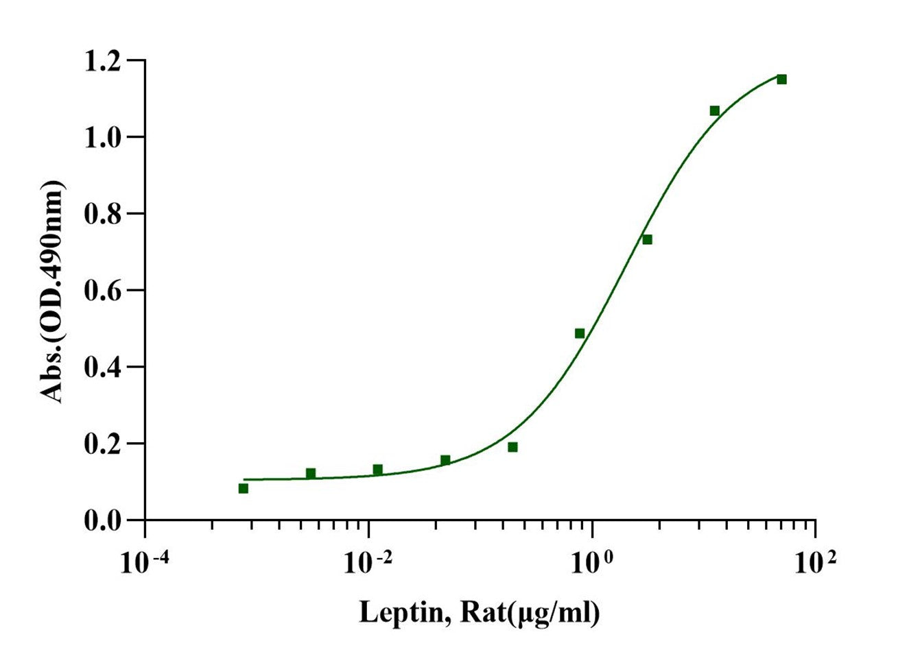 Leptin Protein, Rat