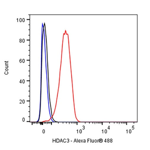 HDAC3 Rabbit Polyclonal Antibody