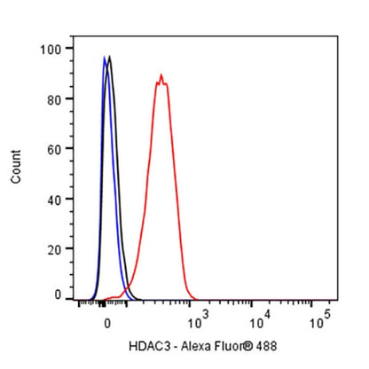 HDAC3 Rabbit Polyclonal Antibody
