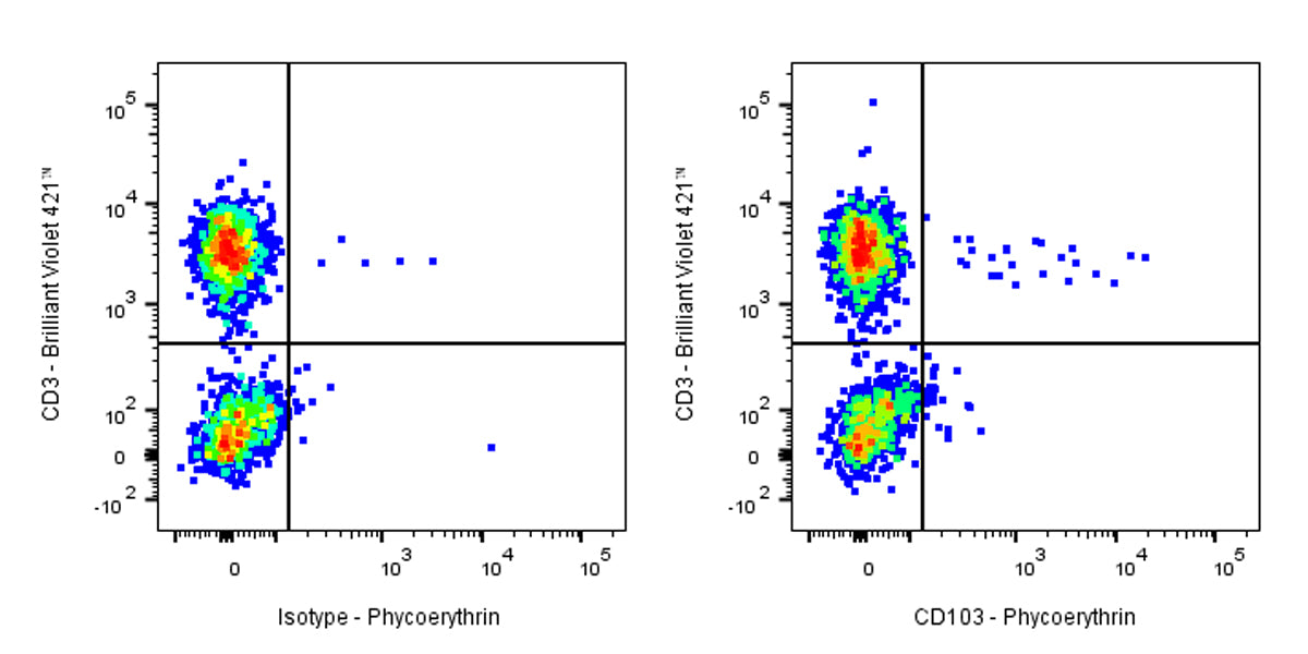 PE Mouse Anti-Human CD103 Antibody (Ber-ACT8)
