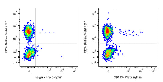 PE Mouse Anti-Human CD103 Antibody (Ber-ACT8)