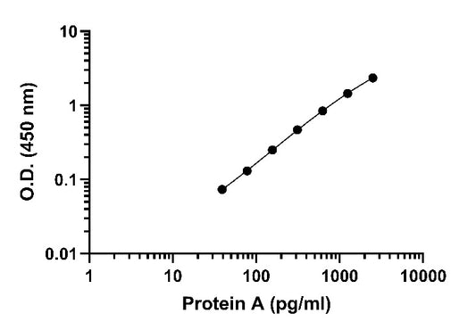 Protein A OneStep ELISA Kit