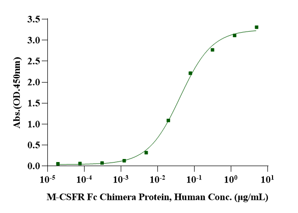 M-CSF Protein, Human