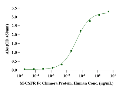 M-CSF Protein, Human