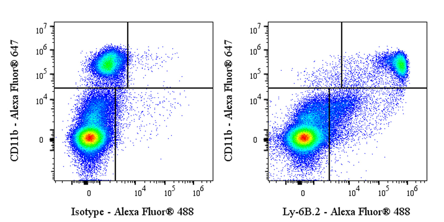 Rat Anti-Mouse Ly-6B.2 Antibody (7/4)