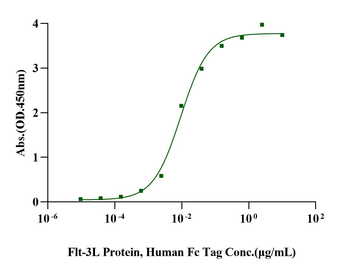 Flt-3/Flk-2 Protein, Human