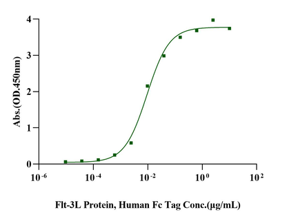 Flt-3/Flk-2 Protein, Human