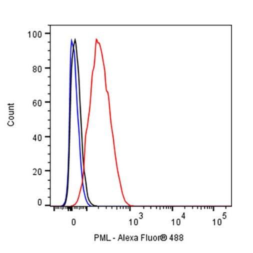 PML Recombinant Rabbit mAb (S-1908-60)