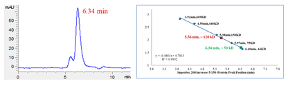 CDK8 Protein