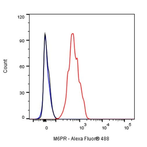M6PR Recombinant Rabbit mAb (S-1480-21)