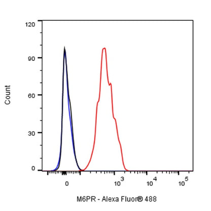 M6PR Recombinant Rabbit mAb (S-1480-21)