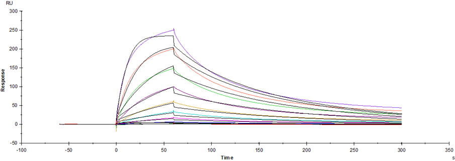 PVRIG mFc Chimera Protein, Human