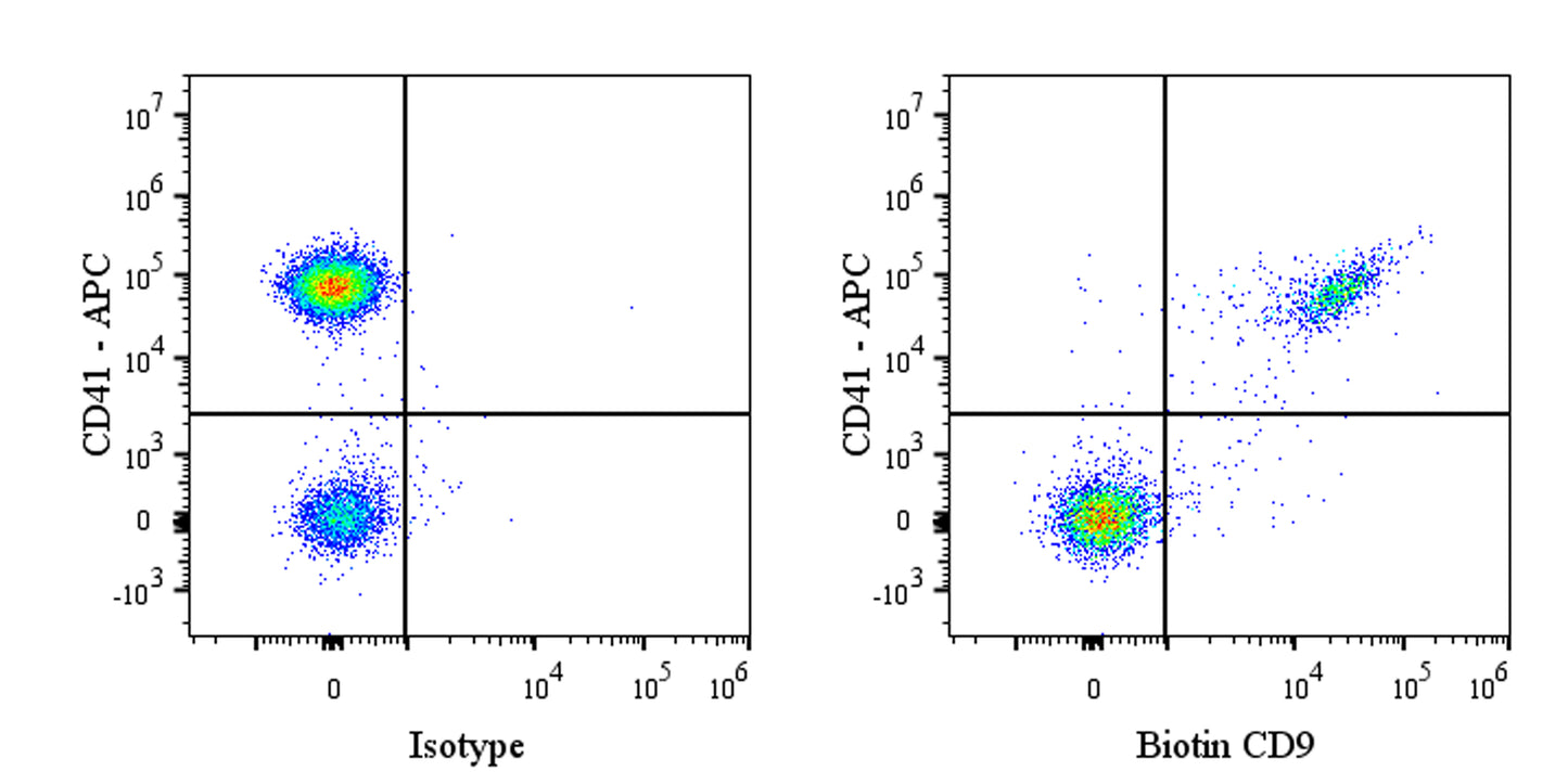 Biotin Rabbit Anti-Human CD9 Antibody (S-143-53)