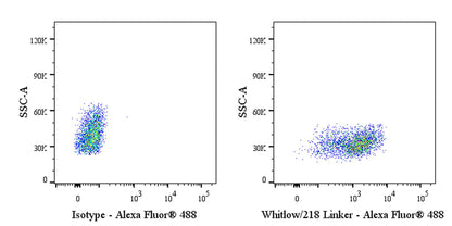 Whitlow/218 Linker Recombinant Rabbit mAb (S-712-10)