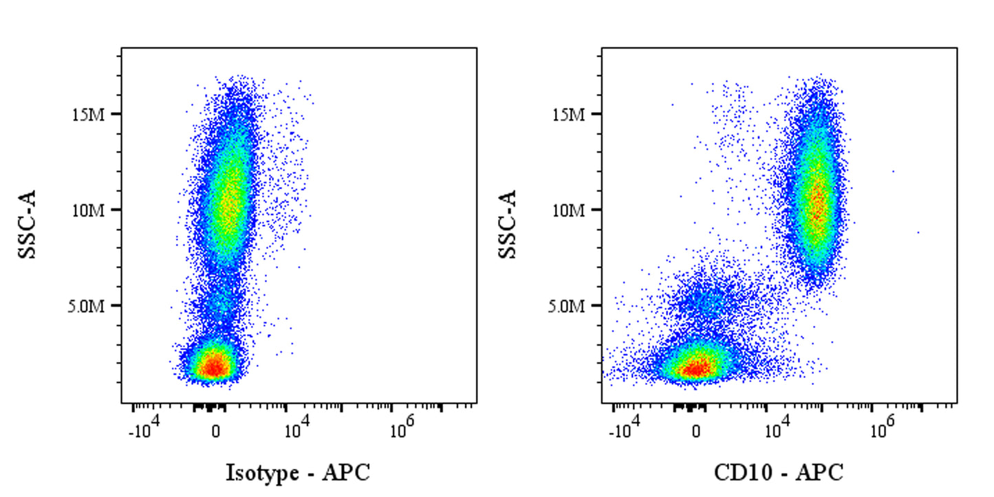 APC Mouse Anti-Human CD10 Antibody (S-713-5)