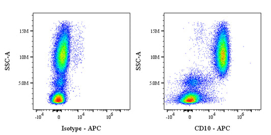 APC Mouse Anti-Human CD10 Antibody (S-713-5)