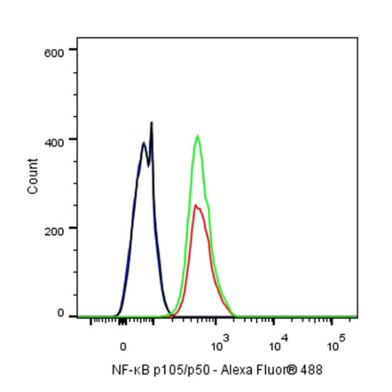 NF-κB p105/p50 Rabbit polyclonal antibody
