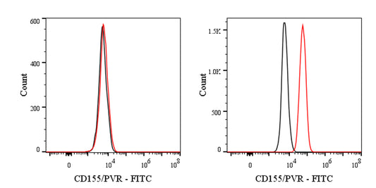 FITC Mouse Anti-Human CD155/PVR Antibody (SKII.4）
