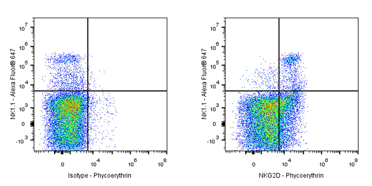 Armenian hamster Anti-Mouse NKG2D Antibody (S-3681)