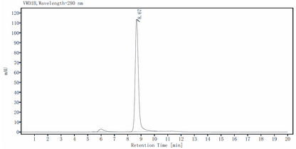 BAFF Trimer Protein, Human