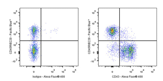 Alexa Fluor® 488 Rat Anti-Mouse CD43 Antibody (S-R588)