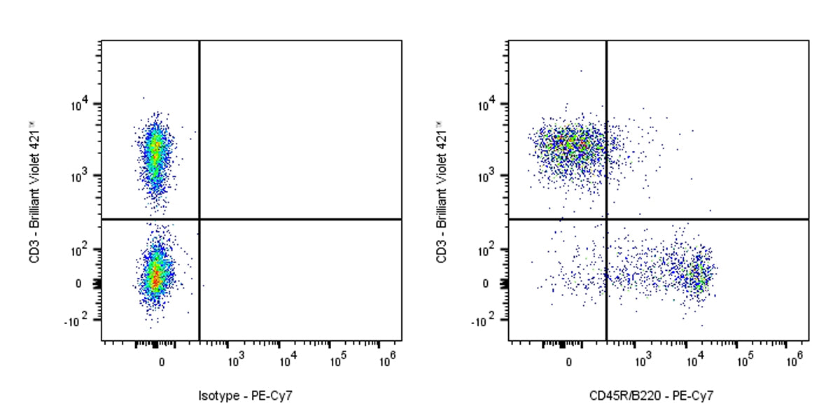 PE-Cy7 Rat Anti-Mouse CD45R/B220 Antibody (RA3-6B2)