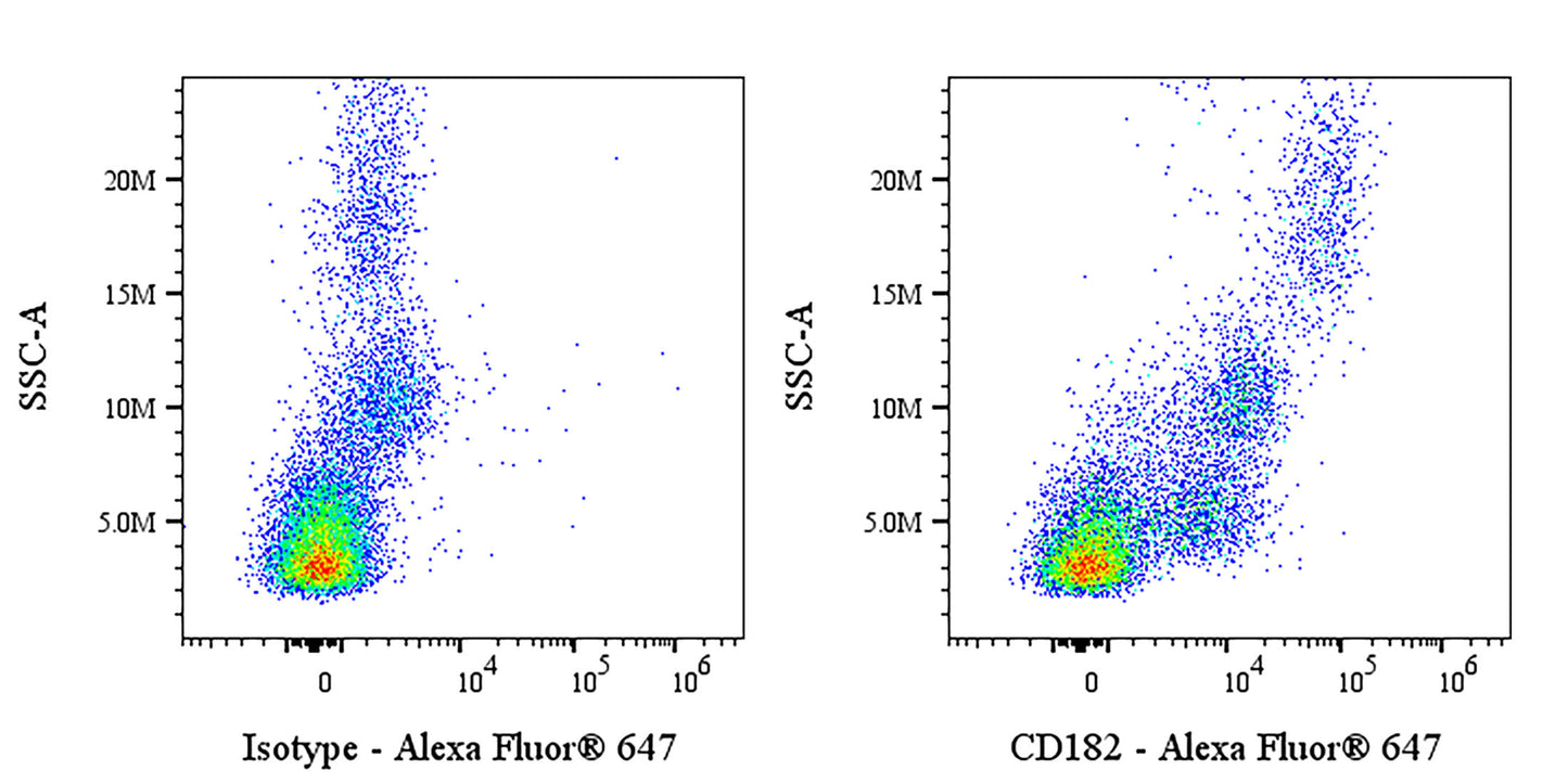Mouse Anti-Human CD182 Antibody (S-4787)