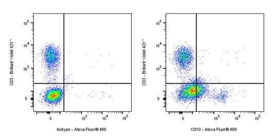 Alexa Fluor® 488 Mouse Anti-Human CD19 Antibody (HIB19)