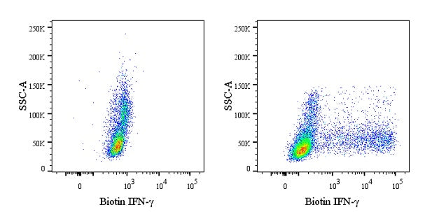 Biotin Mouse Anti-Human IFN-γ Antibody (4S.B3)