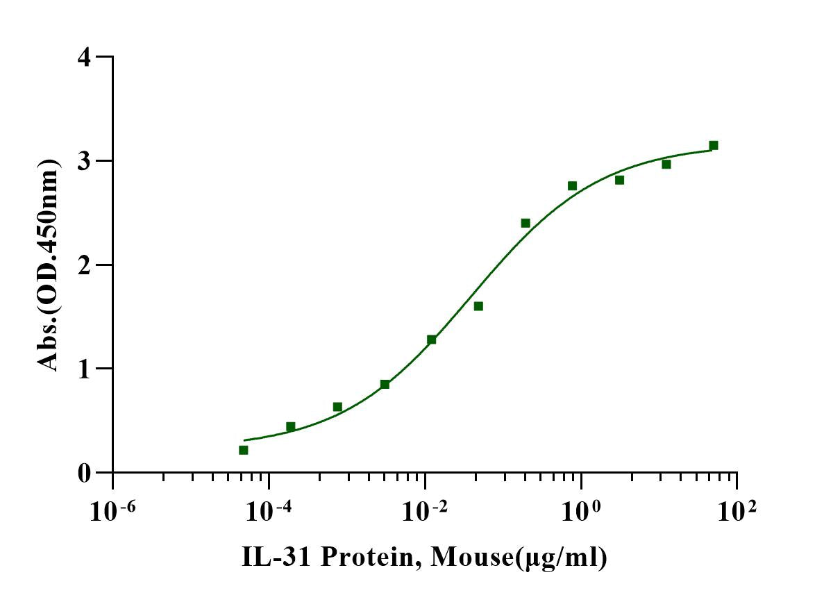 IL-31 Protein, Mouse