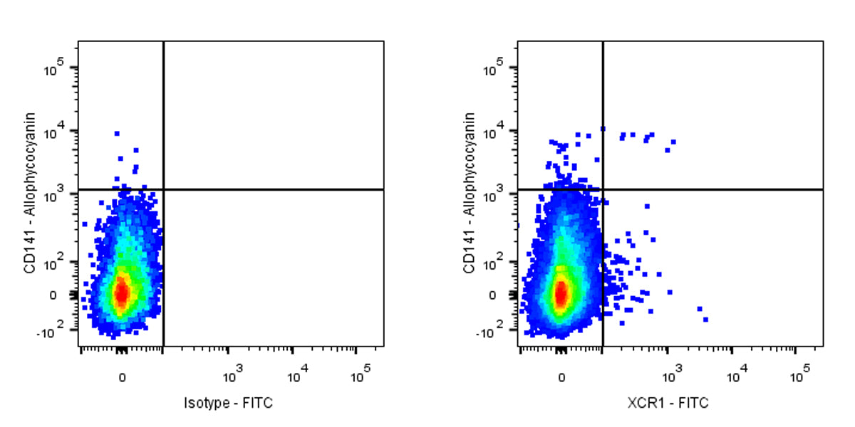 FITC Rat Anti-Human XCR1 Antibody (S-3294)