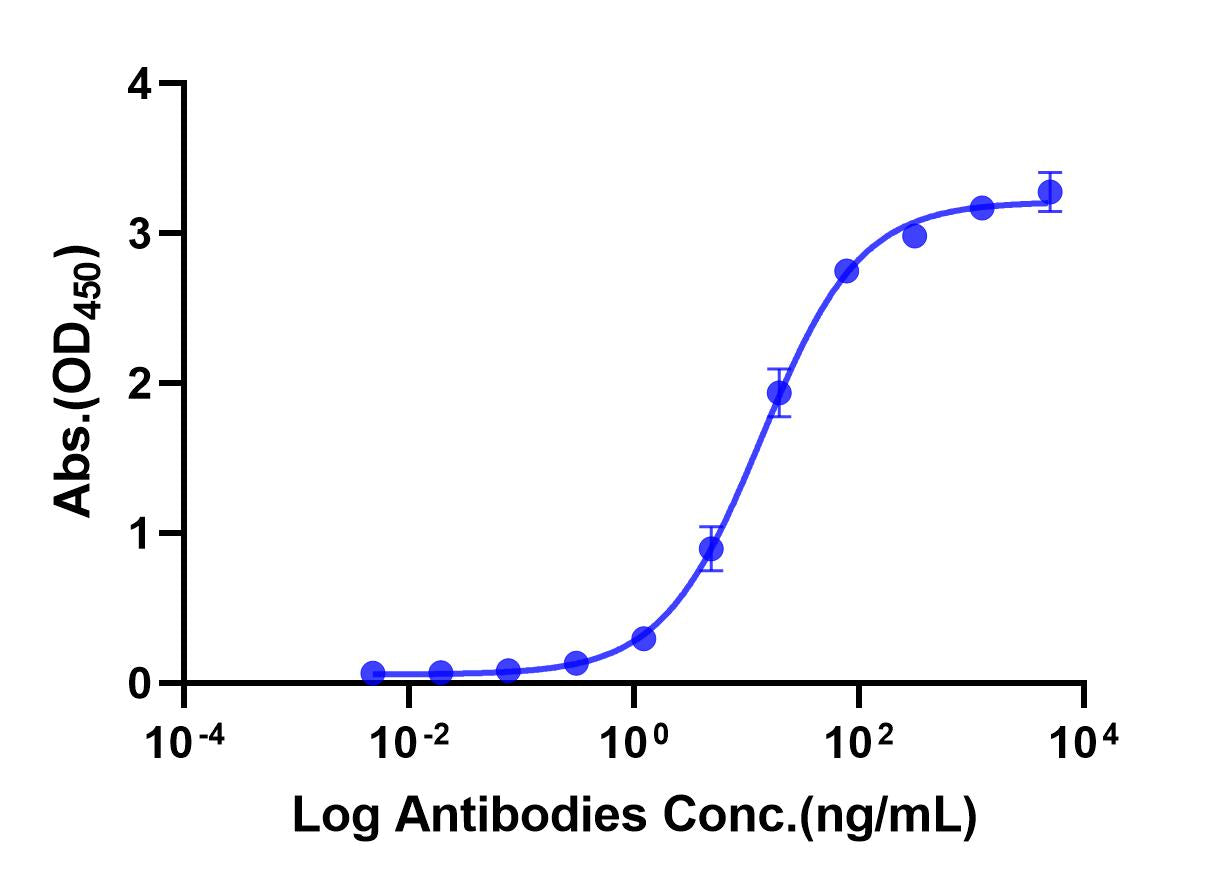 Anti-Human PD1 Monoclonal Antibody (Tislelizumab)(S228P/E233P/F234V/L235A/D265A)