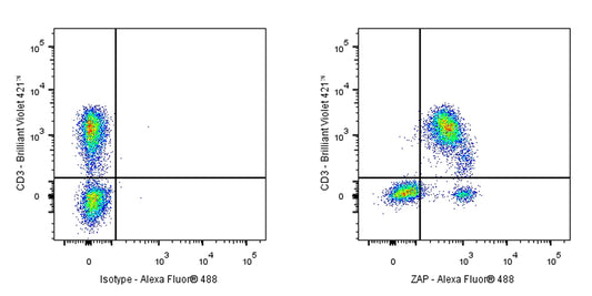 FITC Mouse Anti-Human/Mouse ZAP-70 Antibody (1E7.2)