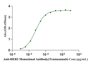 Biotinylated Her2 His&Avi Tag Protein, Human