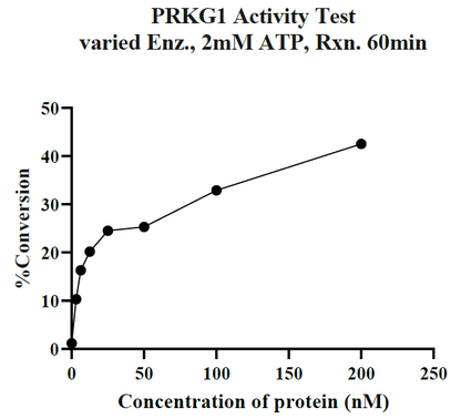 PRKG1 GST Tag Protein, Human